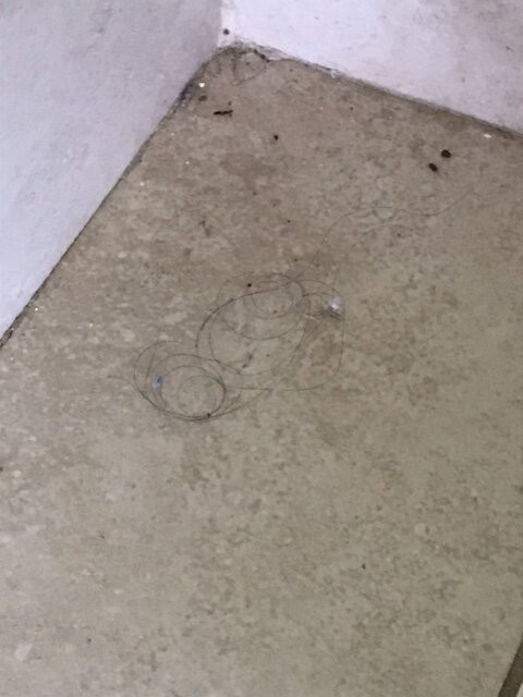 Occidental Papagayo主图