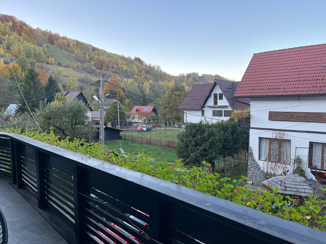 Mama Cozonacilor Pensiune_vila B主图