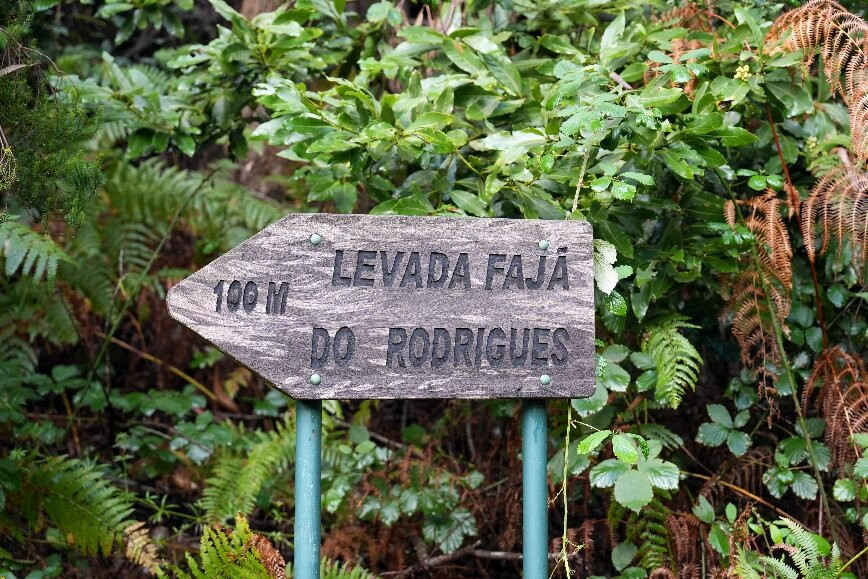 PR16 Levada Fajã do Rodrigues-Sao Vicente必去景点
