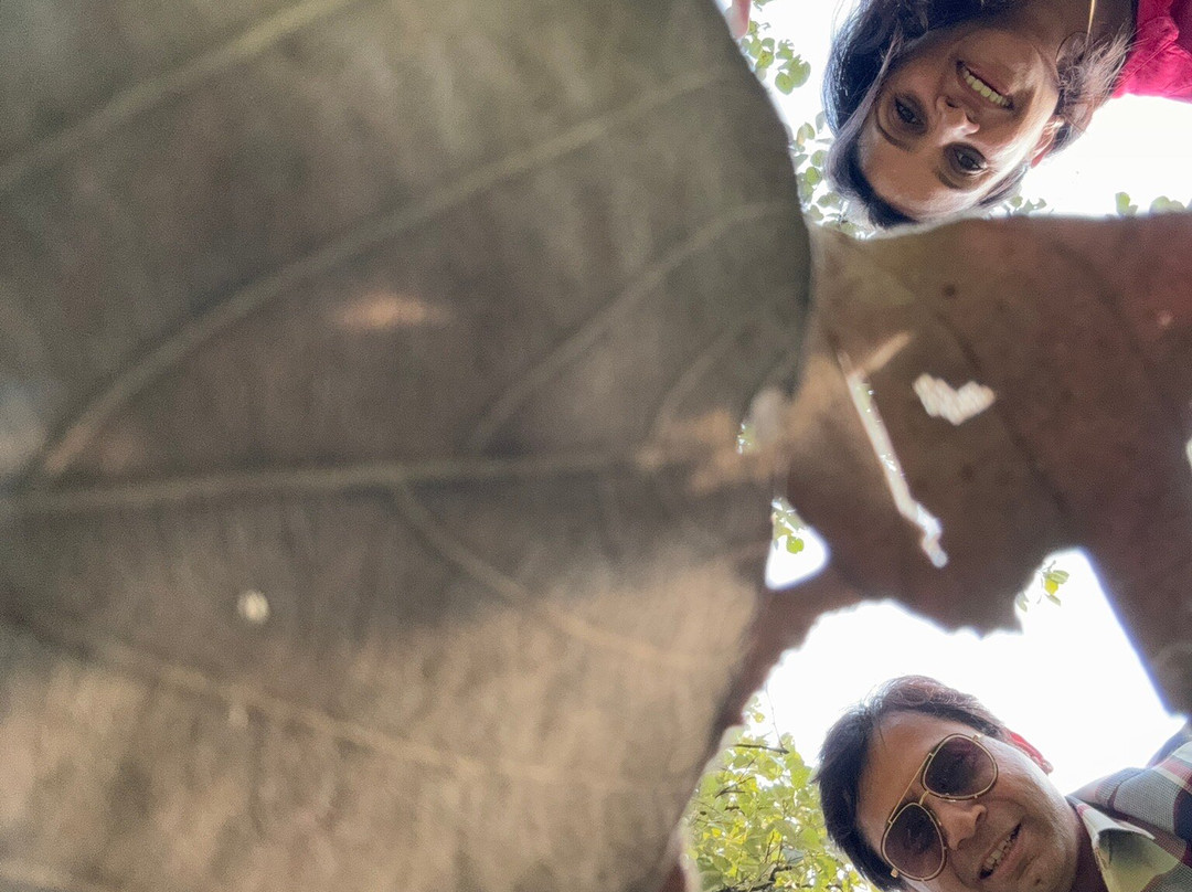 Olive Resort and Villas, Turia主图