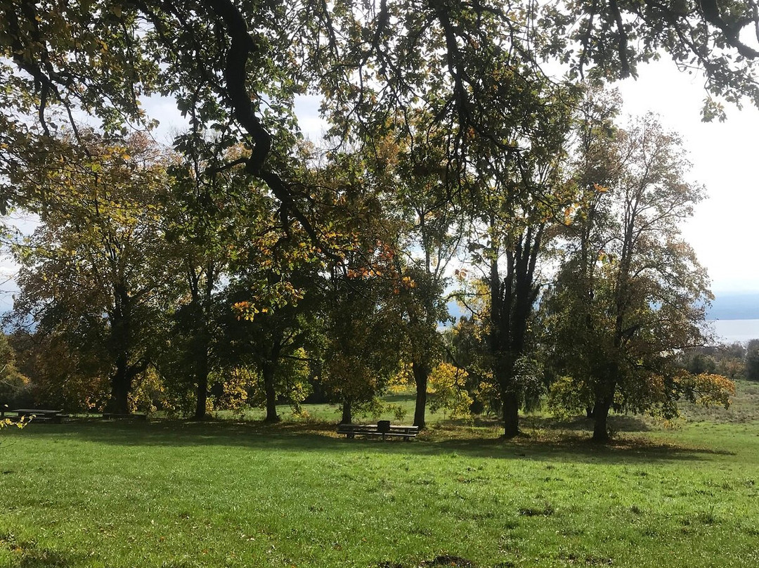 Parc De Pierre-à-bot