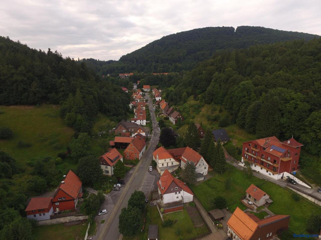 Bad Grund酒店住宿-Hotel Pension Waldhaus