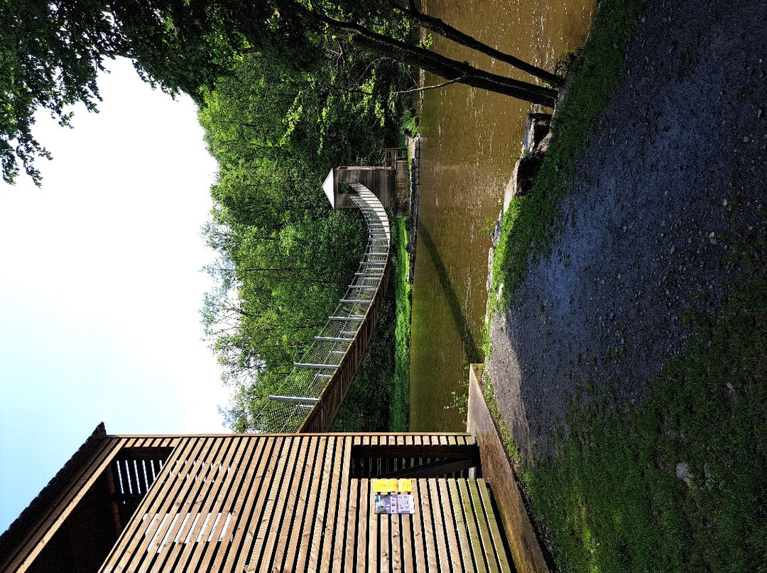 Passerelle Du Moulin De L'epine景点图片