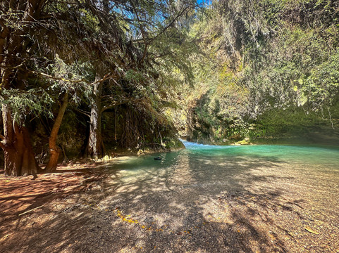 Go Well Tours-瓦哈卡必去景点