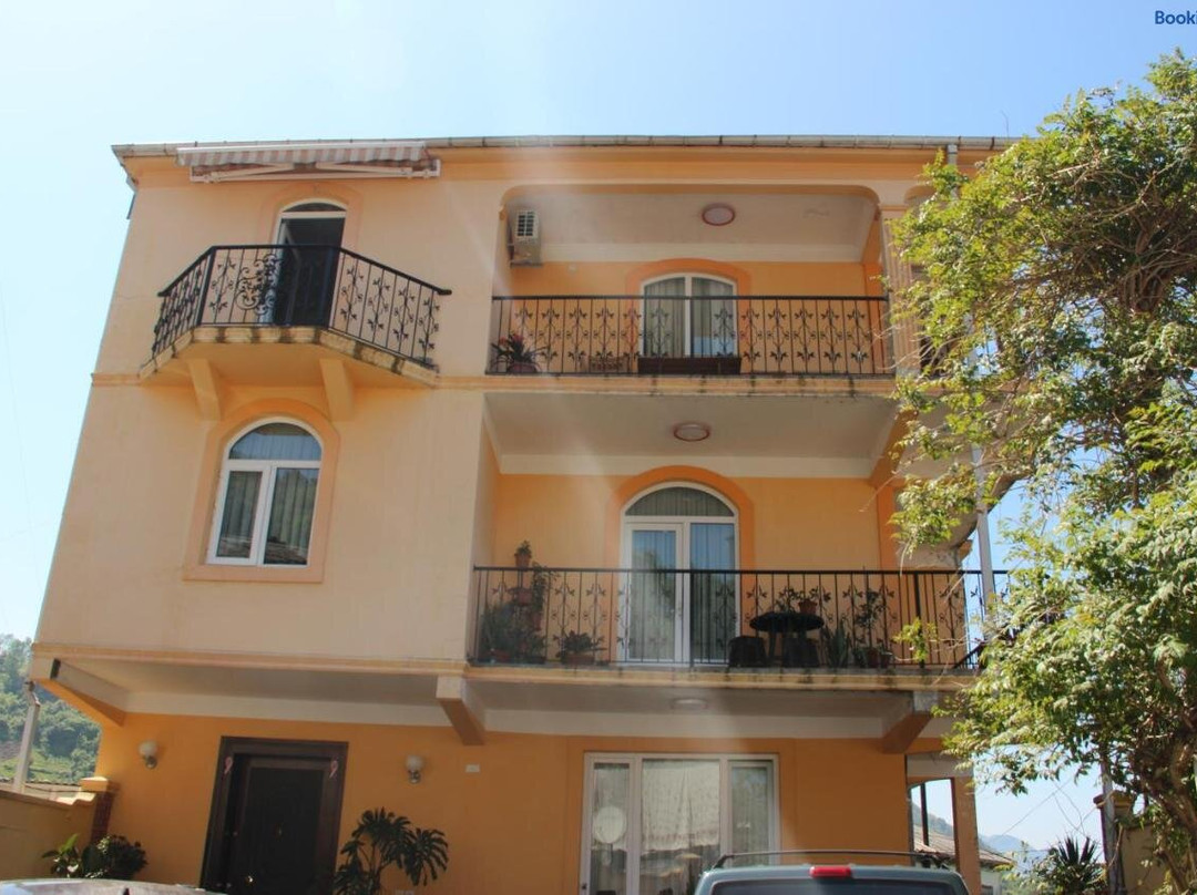 Yellow House - Vaja