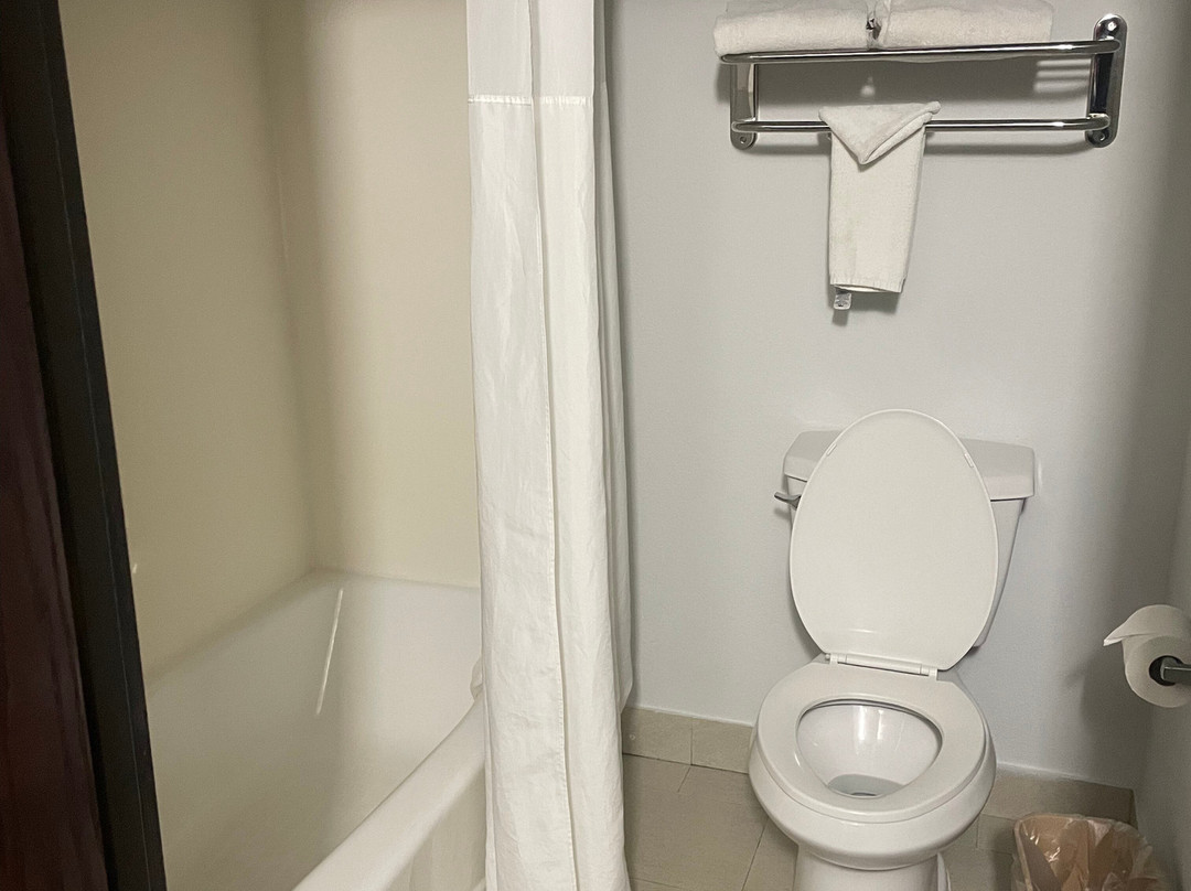 Quality Inn & Suites DFW Airport South主图