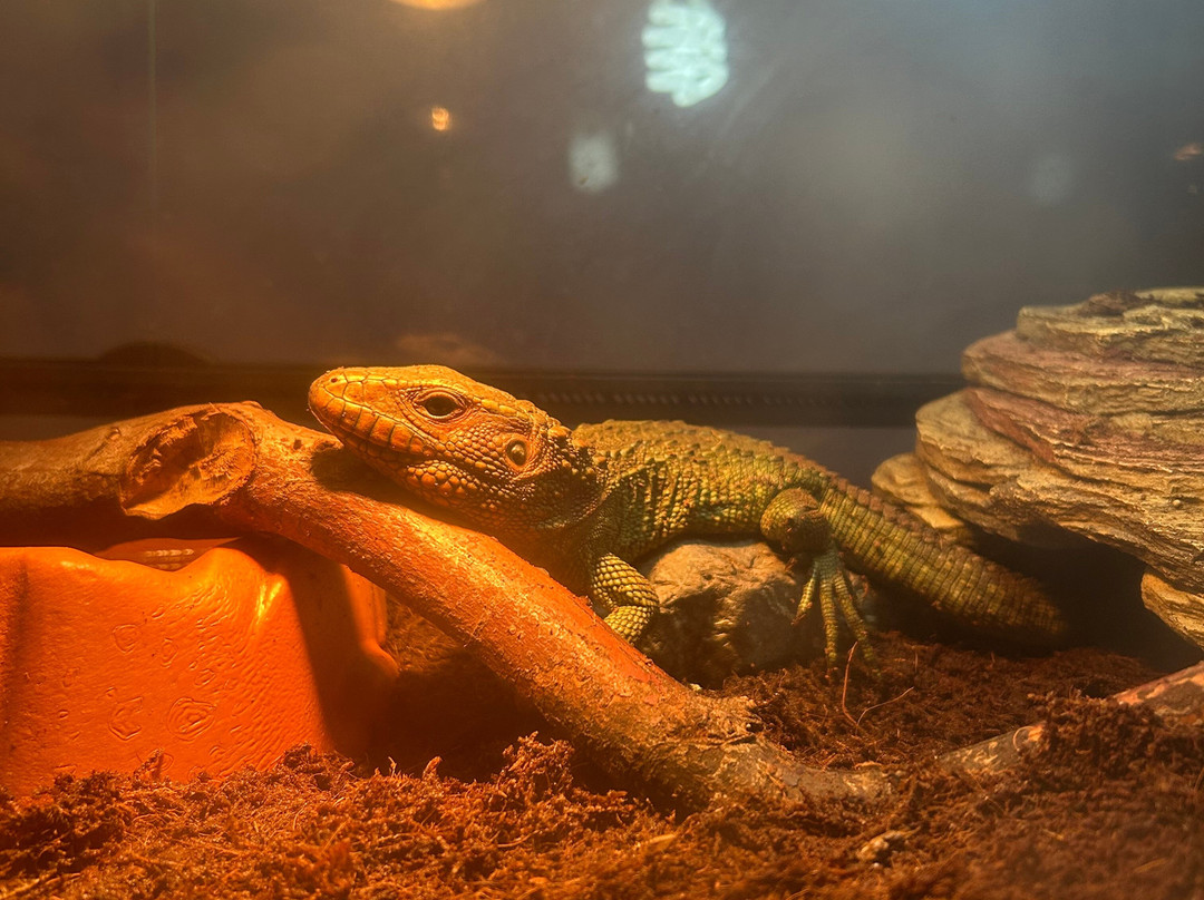 Tropicarium Park景点图片