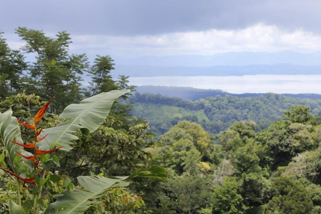 Finca Sueño De Osa主图