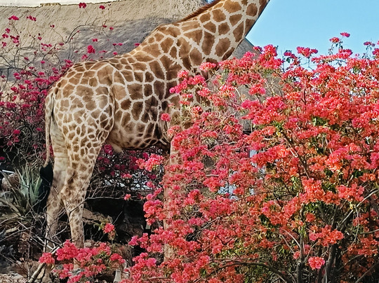 Goldwing Tourism-温德和克必去景点