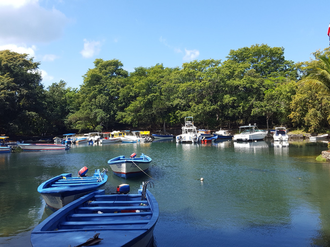 Gri Gri Lagoon-Rio San Juan必去景点