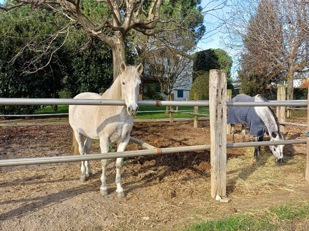Fattoria Piolanti-Lazzate必去景点