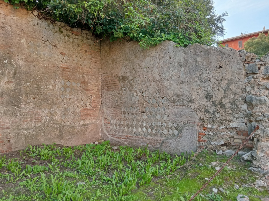Terme Romane景点图片