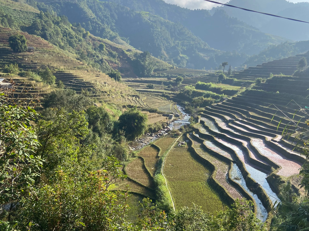 Mu Cang Chai Center Homestay and Tours