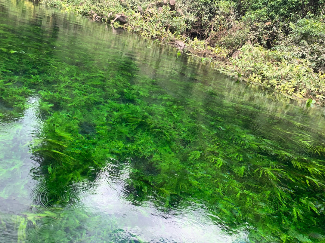 Corrego Azul-Bodoquena必去景点