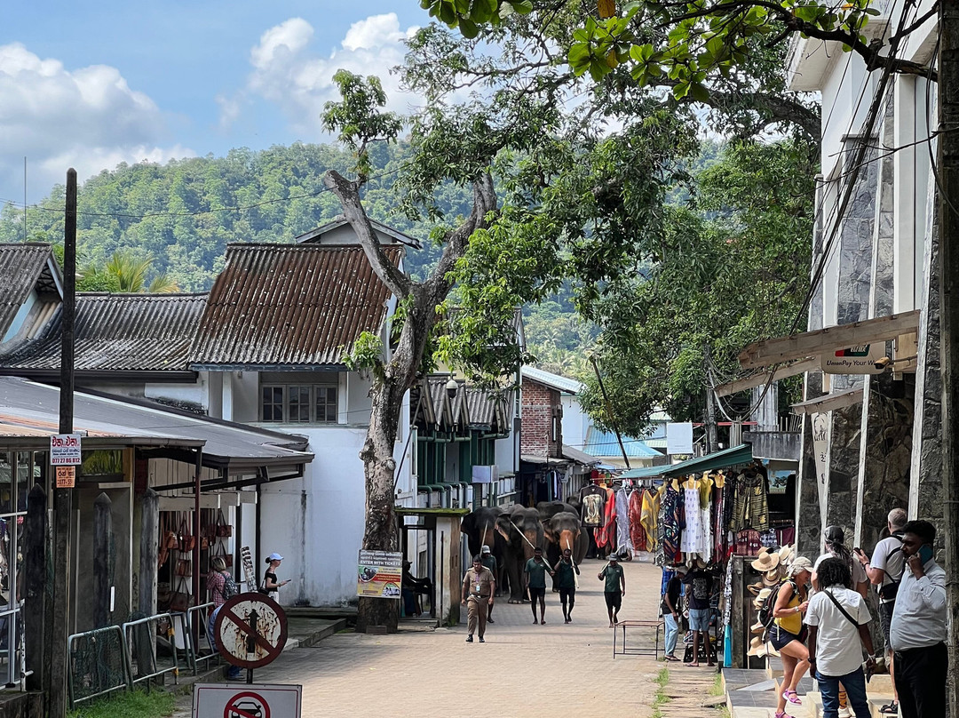 Kandycitytuktuk-康提必去景点