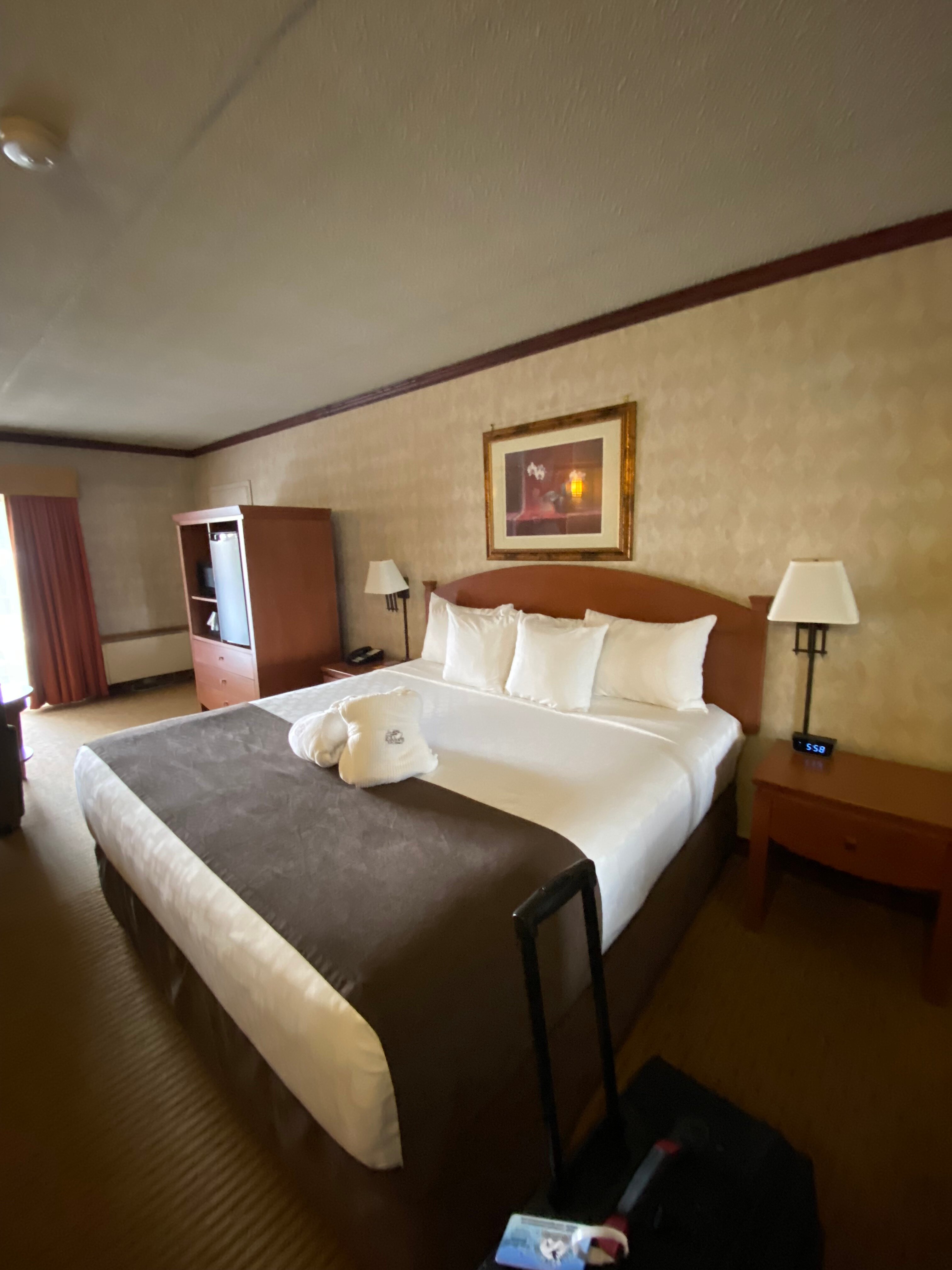 Elkhorn Resort Spa & Conference Centre-客卧