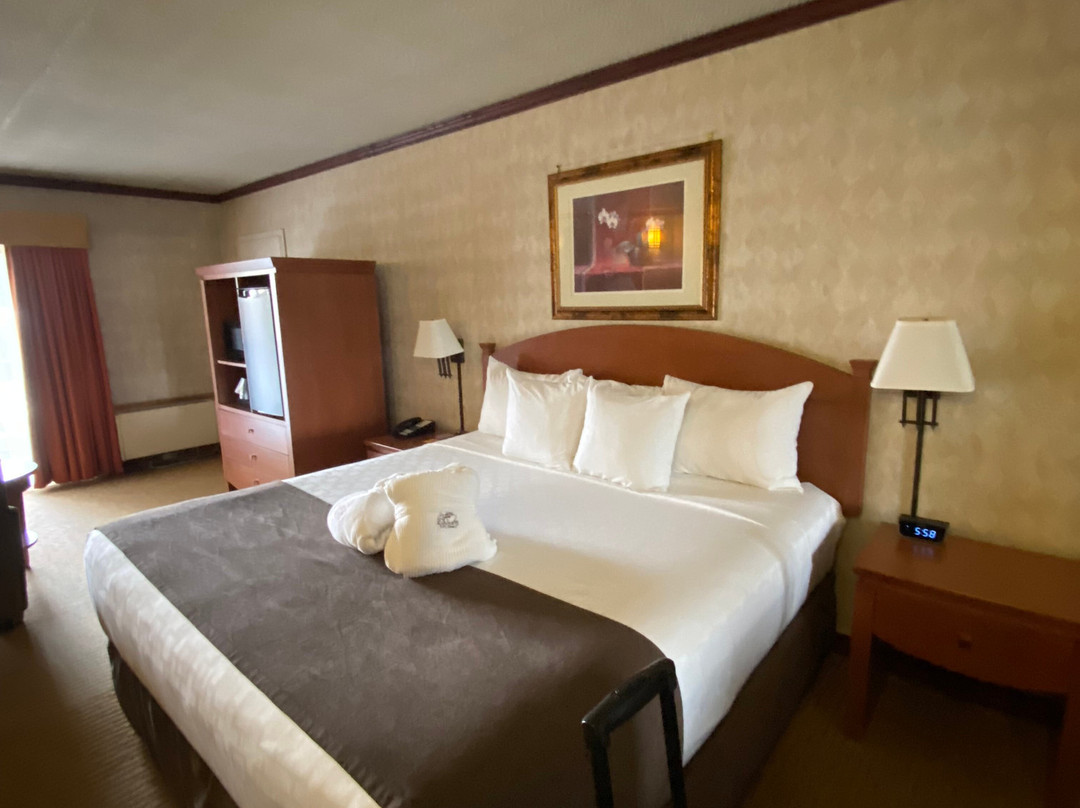 Elkhorn Resort Spa & Conference Centre主图