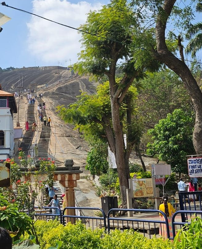 Vindhyagiri Temple景点图片