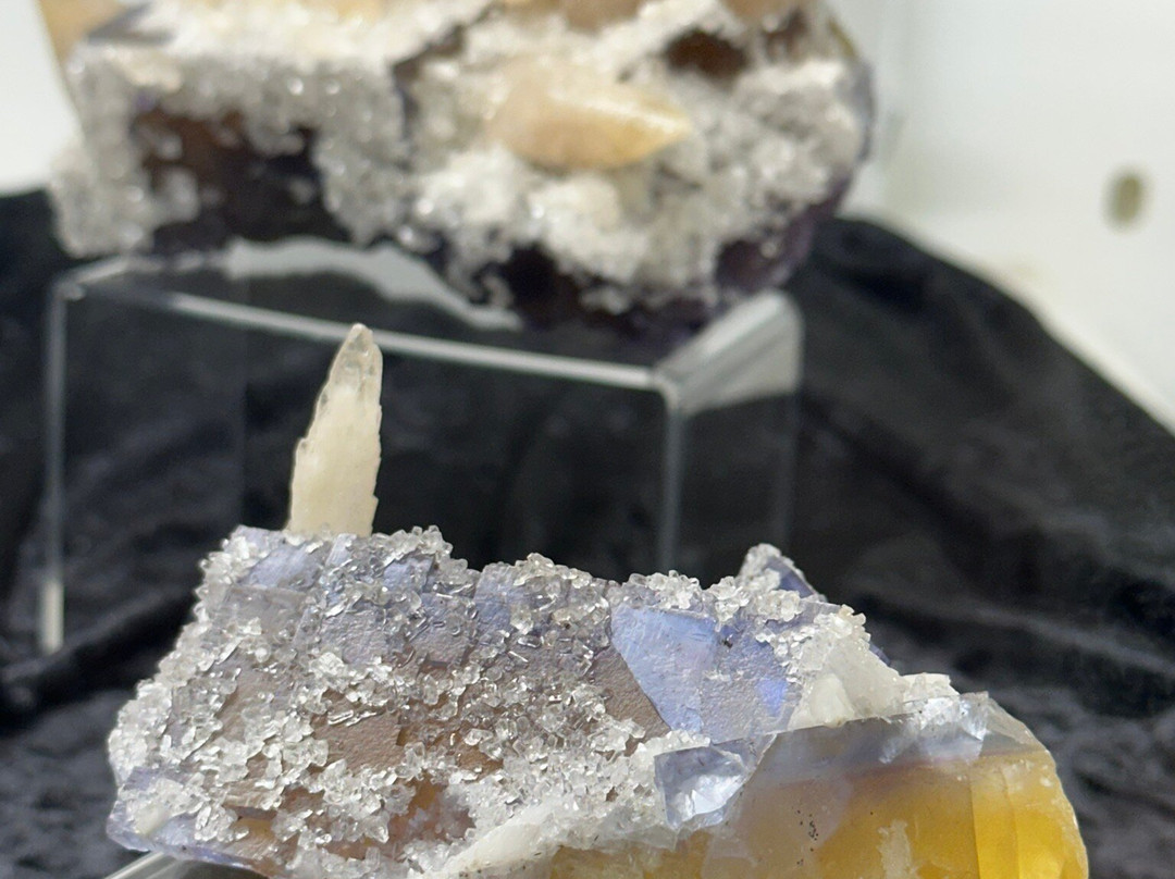 Ben E. Clement Mineral Museum景点图片
