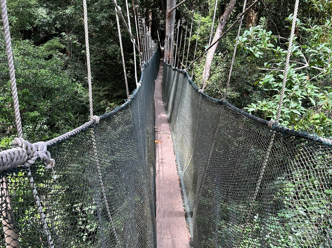 Remarkable Borneo Travel & Tours Sdn Bhd-兵南邦必去景点