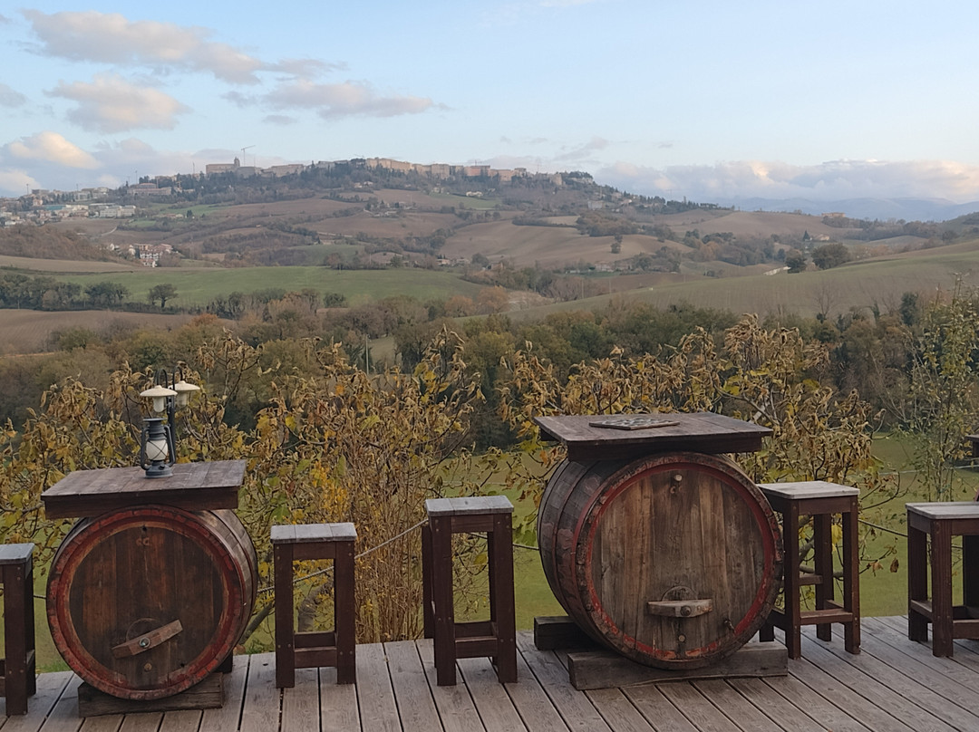 Country House Le Calvie主图