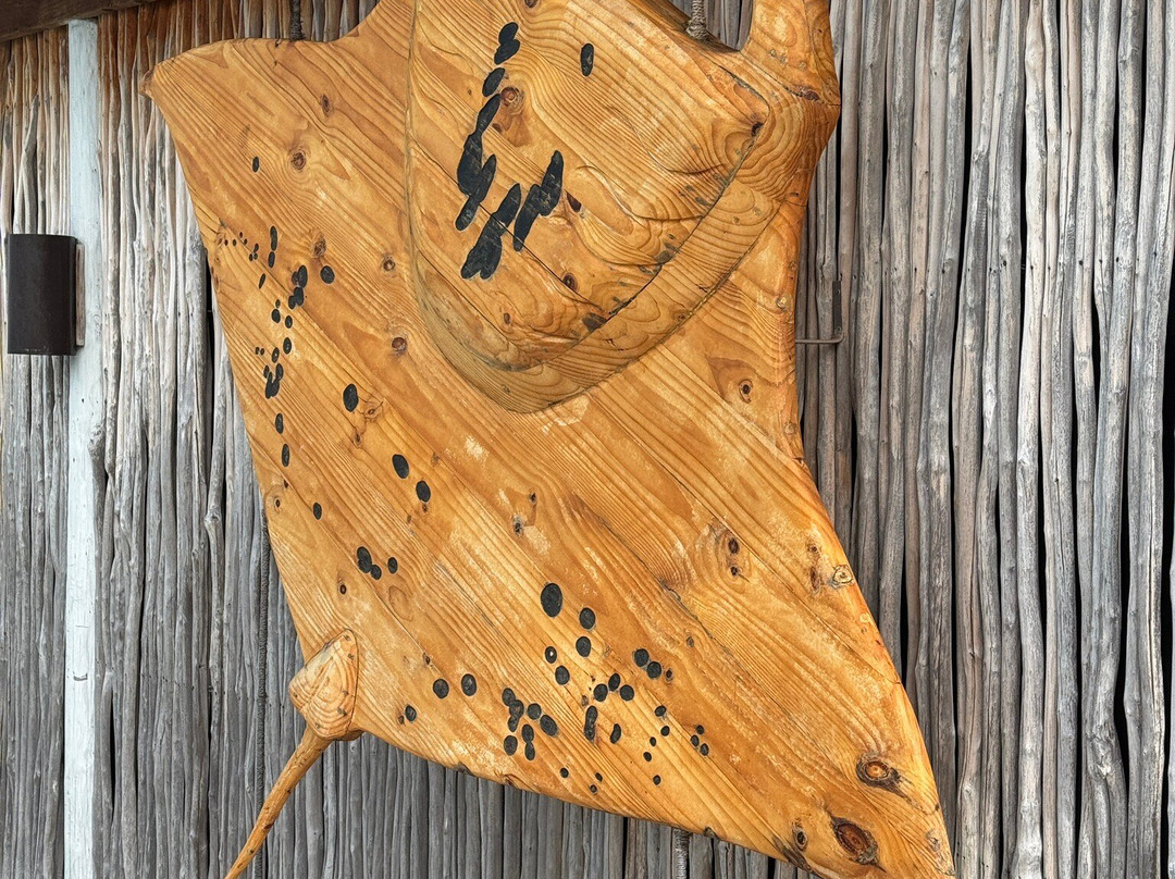 Deep Blue Divers-拉姆环礁必去景点