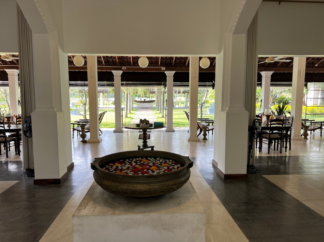 The Notary's House主图