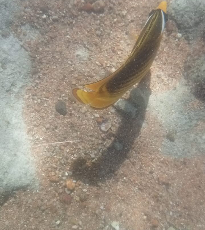 Brothers Safari Excursions-沙姆沙伊赫必去景点