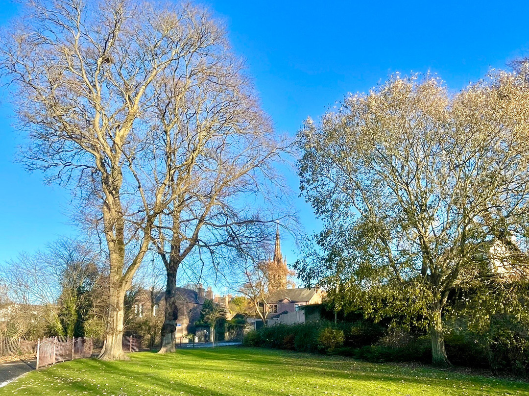 Westie Park