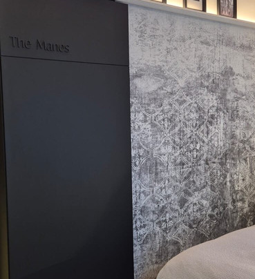 The Manes Boutique Hotel Prague主图