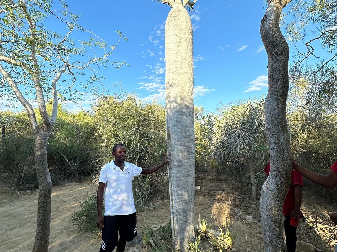 Madagascar Endemics & Resorts景点图片
