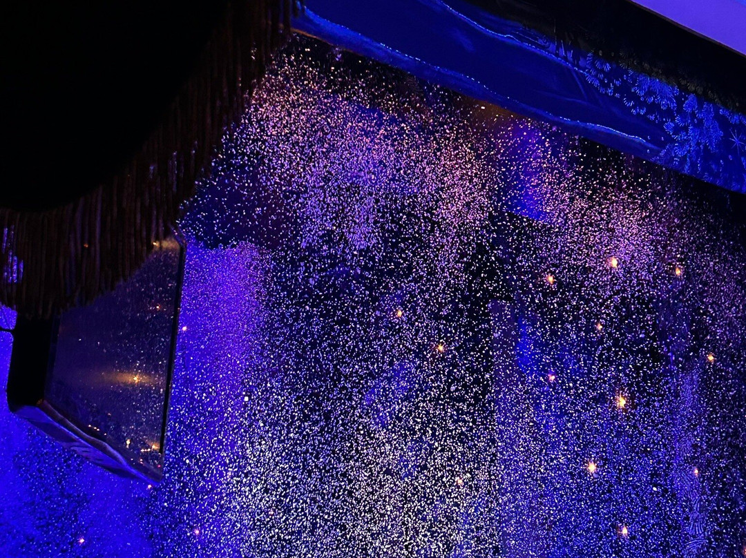State Academic Theatre Of Opera And Dance-乌兰巴托必去景点