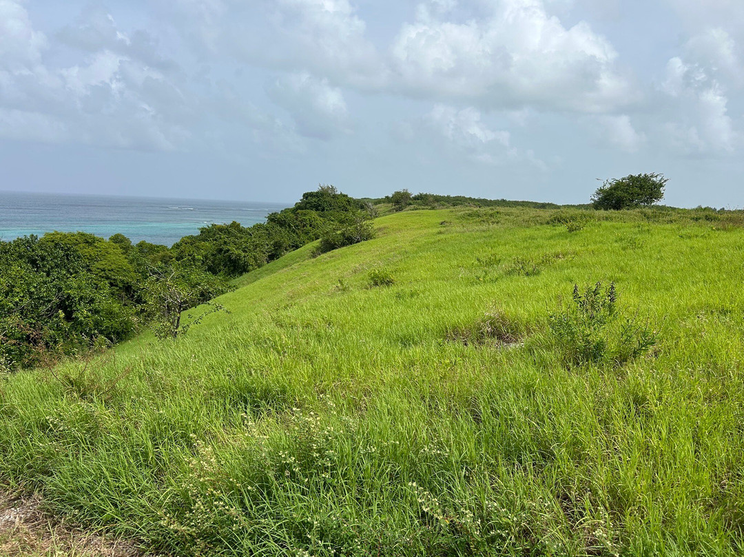 Harrison's Point Lighthouse-Harrisons必去景点