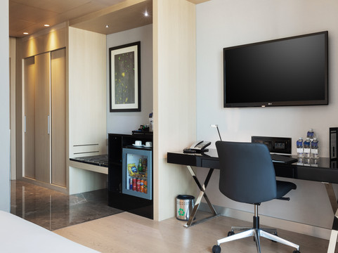 伊斯坦布尔温德姆至尊酒店及会议中心主图