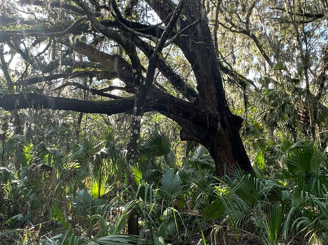 Gemini Springs Park-DeBary必去景点
