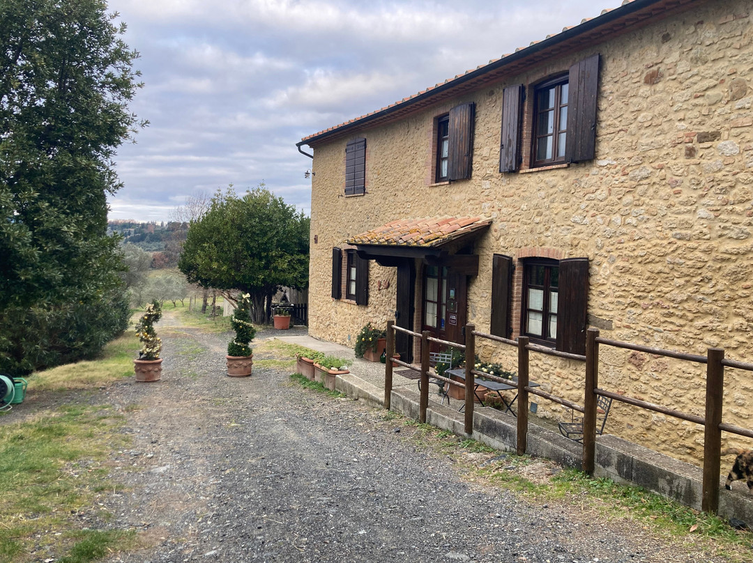 La Fattoria Di Valentina景点图片