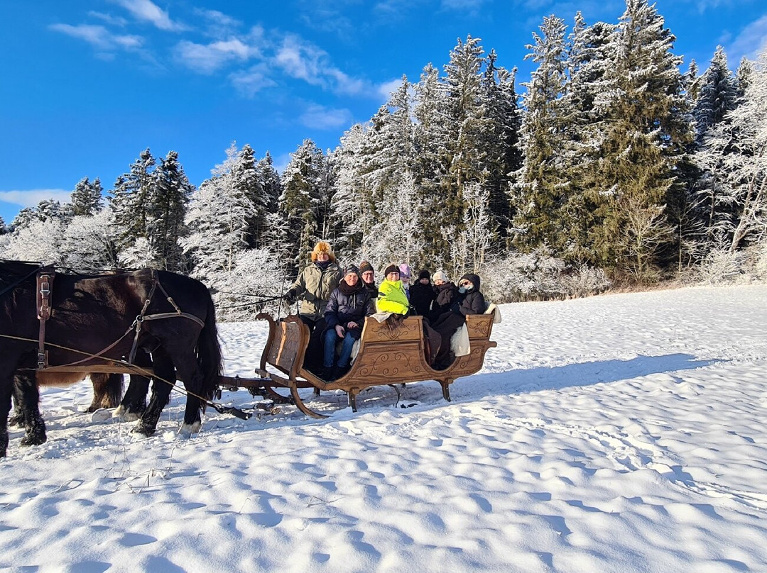 Rosszeit-Deilingen必去景点