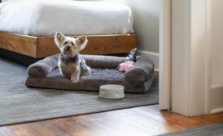 Western Front Hotel主图