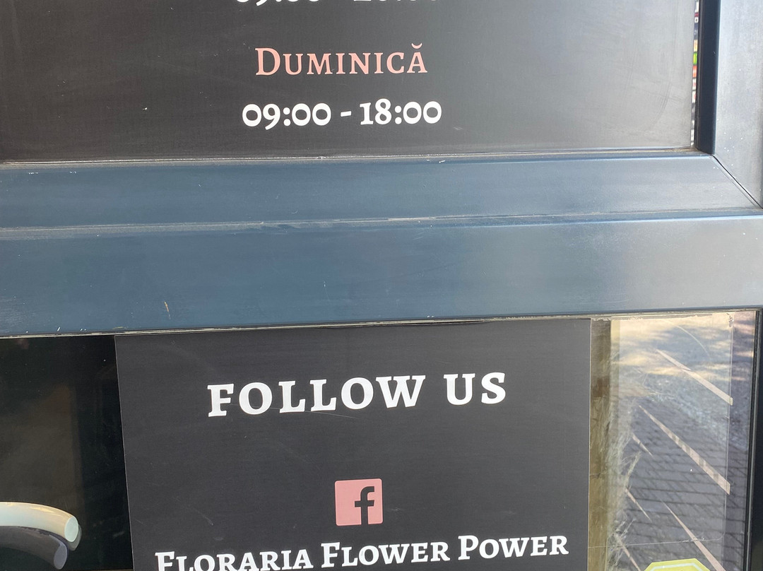 Flower Power景点图片