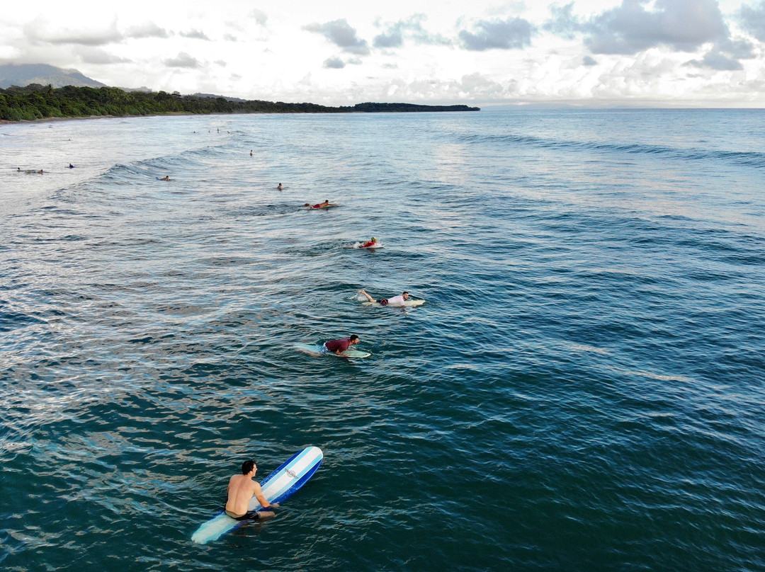 Costa Rica Surf Camp景点图片