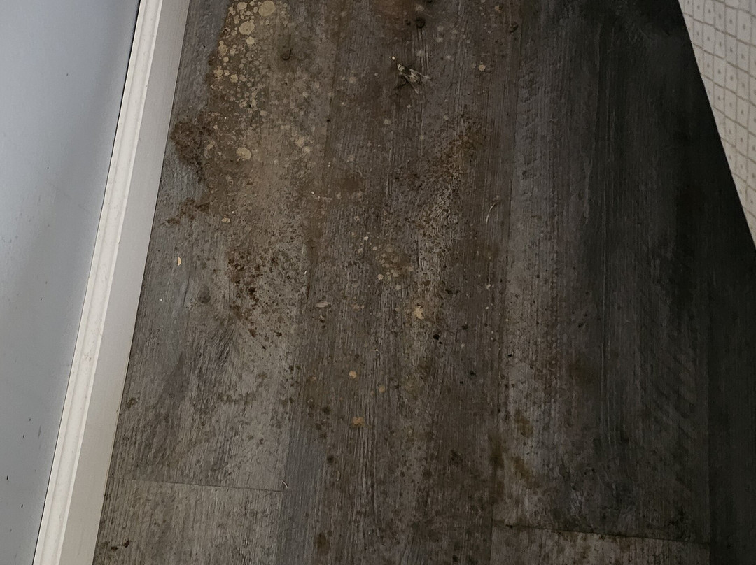 Super 8 by Wyndham Chipley主图