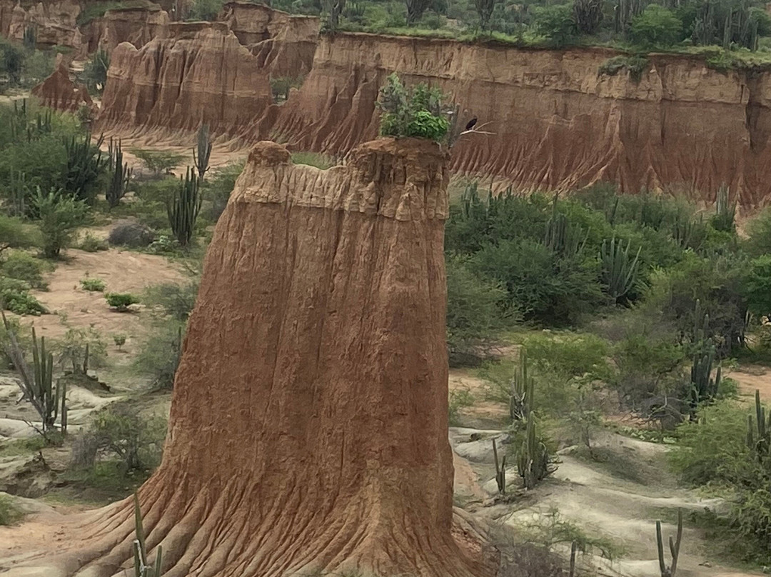 Monumento Cuarto Centenario-内瓦必去景点