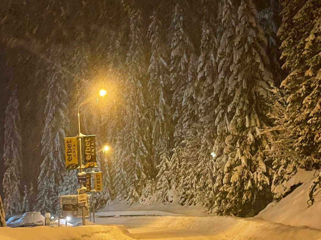 Forest Nook 1 & 2主图