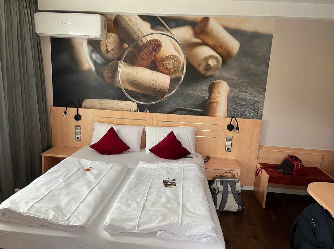 Hotel Halfenstube & Villa Spa 1894主图