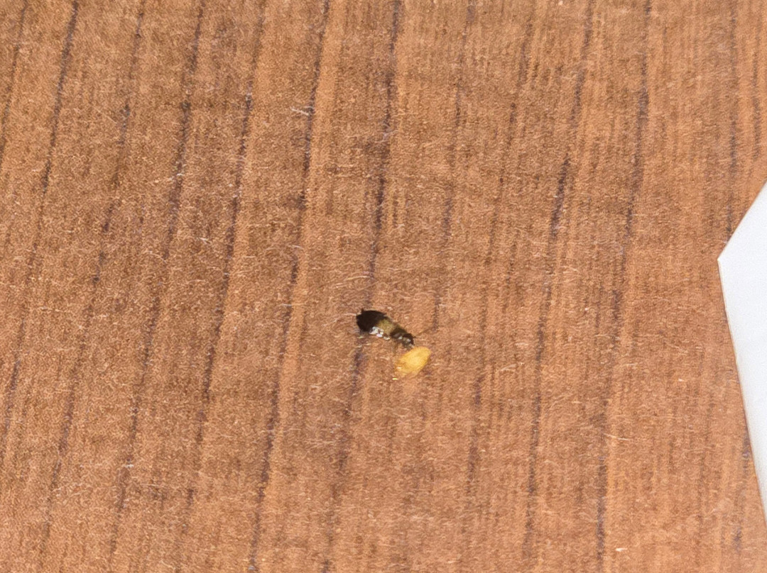 Best Western Parker Inn主图