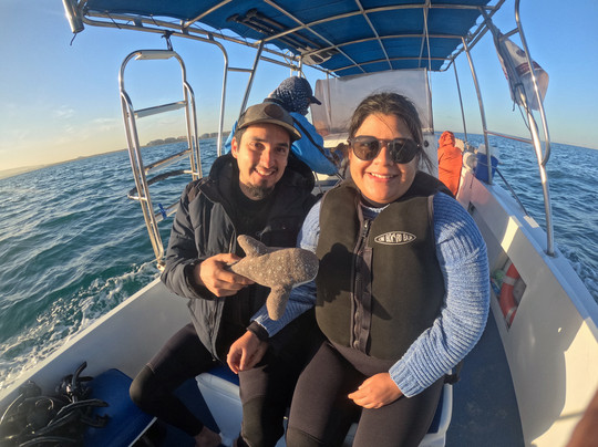 On Board Baja-拉巴斯必去景点