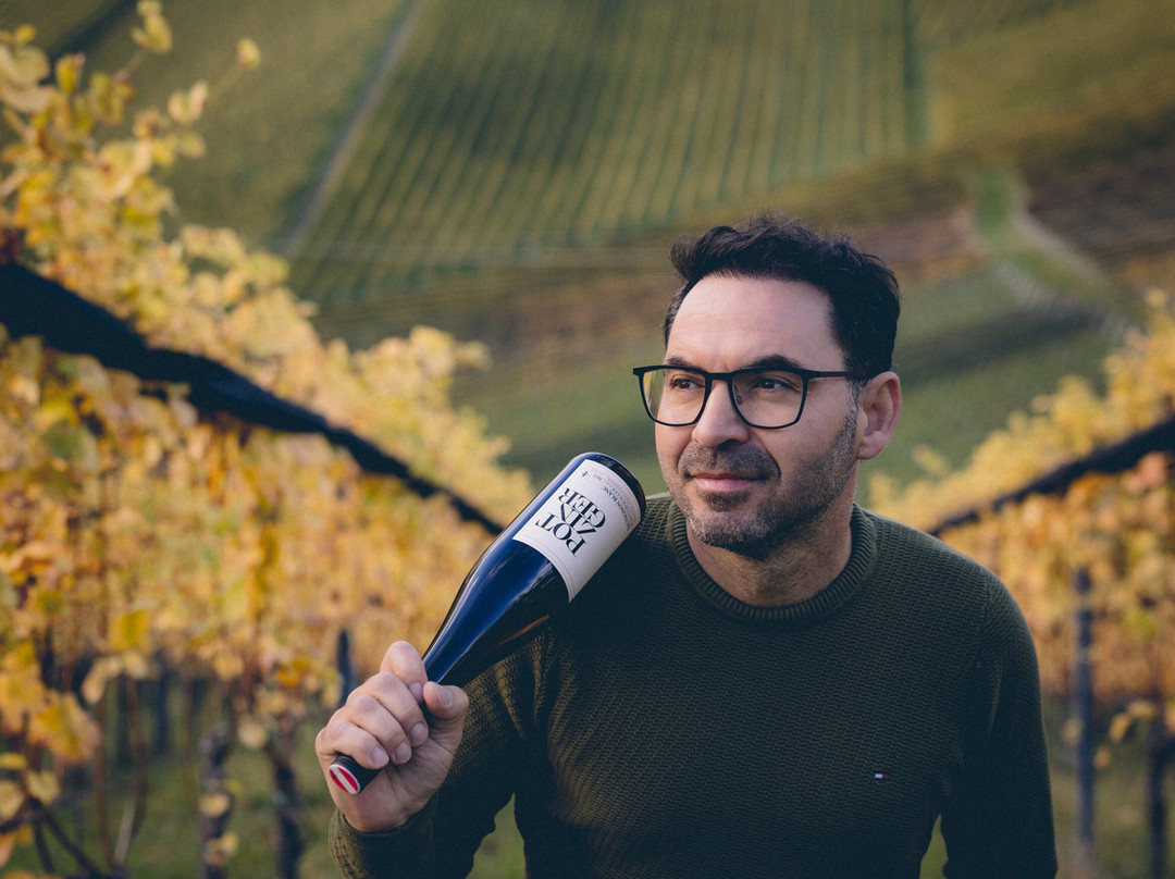 Weingut Stefan Potzinger-Gabersdorf必去景点