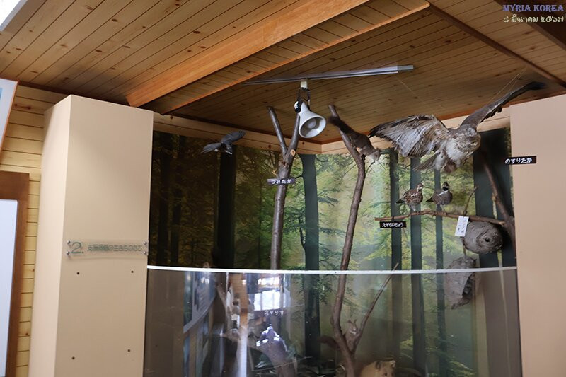 Showa Shinzan Park Service Center-壮瞥町必去景点