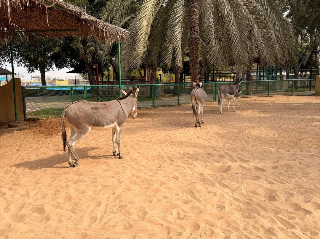 Dreamland Aqua Park-乌姆盖万必去景点
