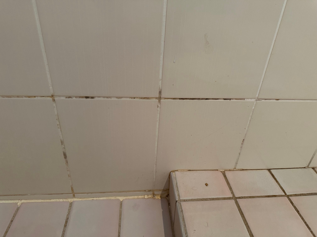 Comfort Inn Bishops Lodge主图